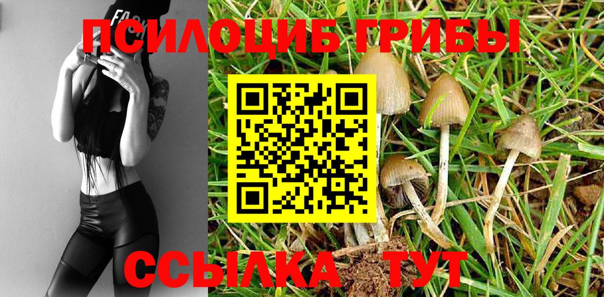 Галлюциногенные грибы Psilocybine cubensis  Вход с VPN  Сланцы 